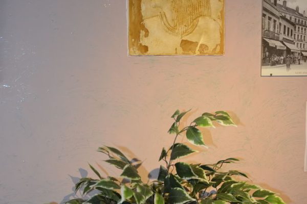 DSC0128 Photo de l'agence Pompes Funèbres D. Lièvre - Saint-Étienne